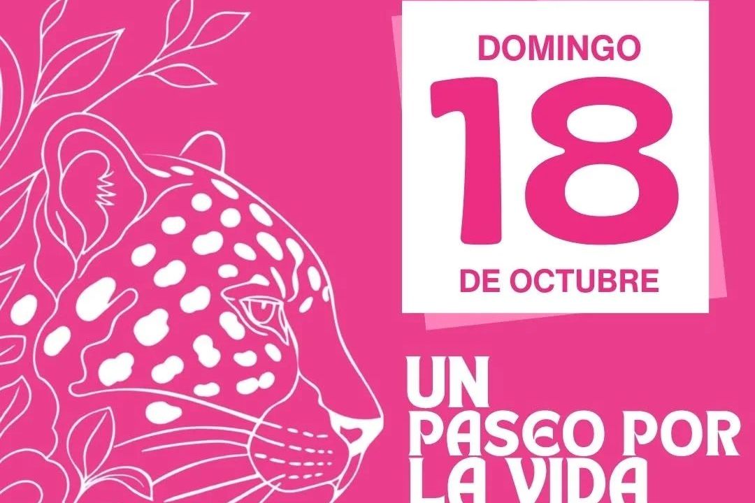 XII Marcha contra el Cáncer de Mama: Un paseo por la vida