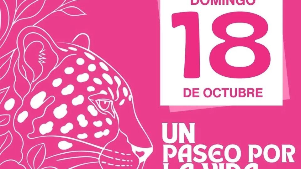 XII Marcha contra el Cáncer de Mama: Un paseo por la vida