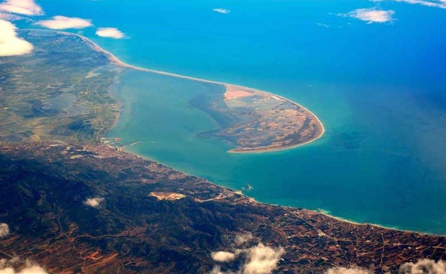 Excursión al Delta del Ebro + Paseo en catamarán
