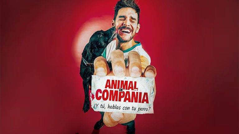 Animal de Compañía