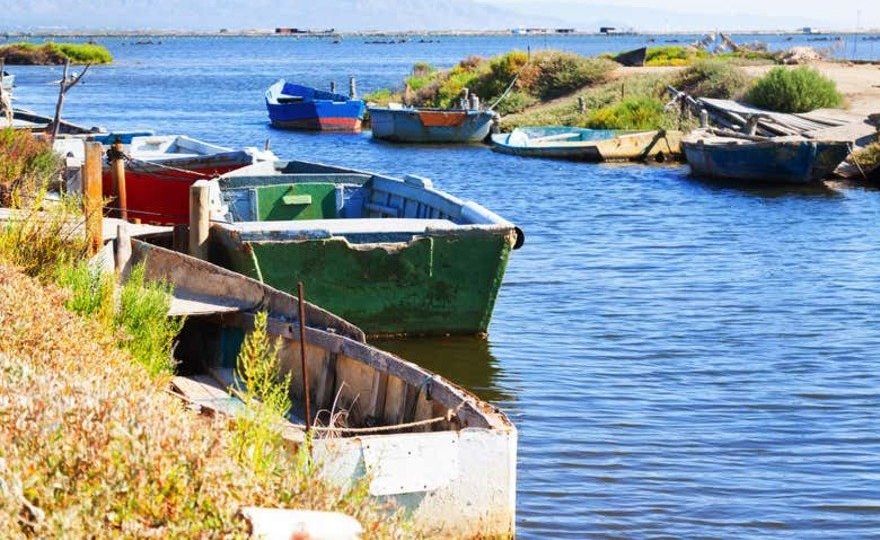 Excursión al Delta del Ebro + Paseo en barco