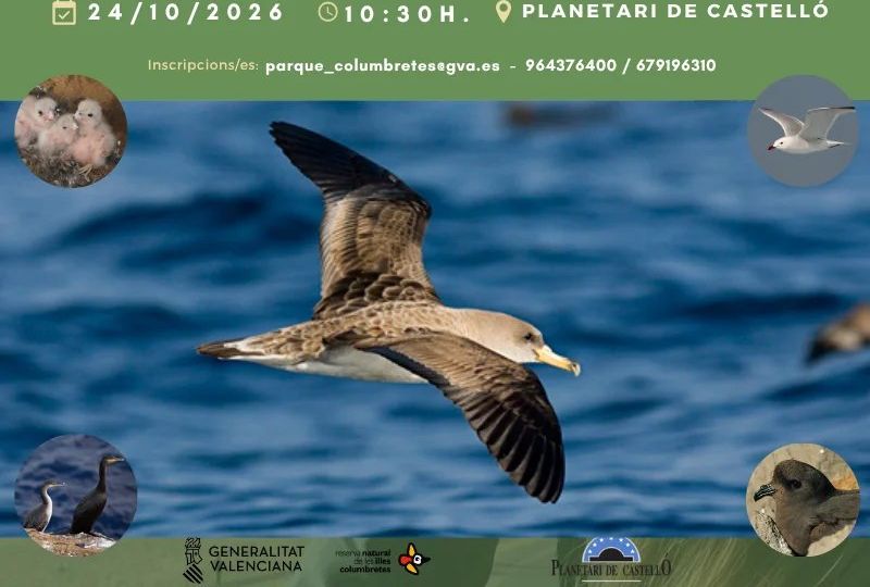 30 años de aves en Columbretes: una charla con Vicent Ferris
